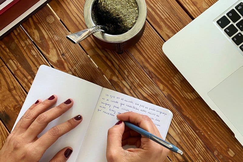 Escribir un libro sobre vinos uruguayos (parte I)