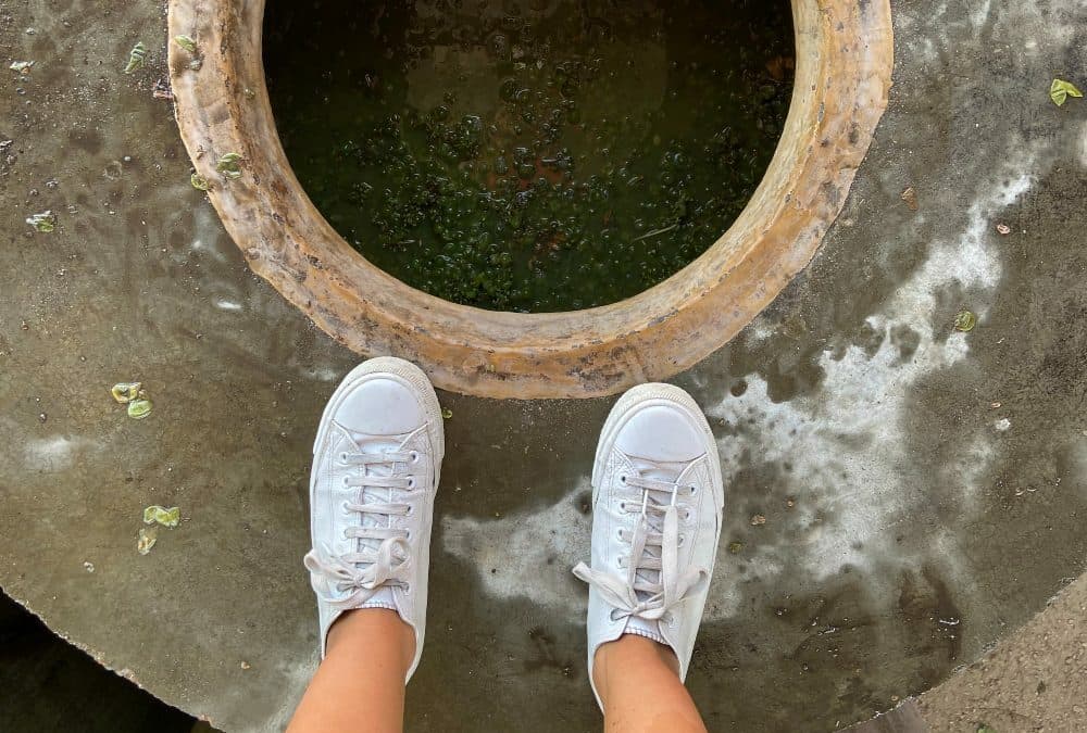 Vinos naturales: definiciones, estilos y reflexiones