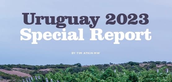 Tim Atkin MW publica su informe especial sobre Uruguay 2023